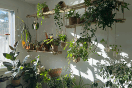 Innenausbau & Interieur Design