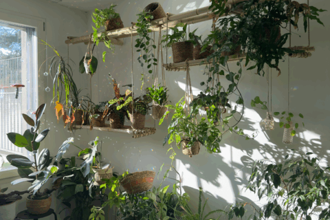 Innenausbau & Interieur Design